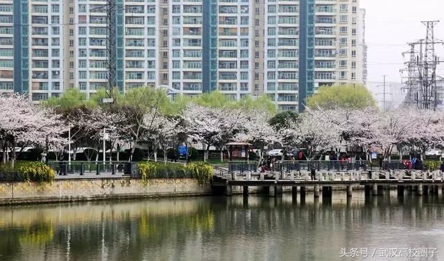 武汉30个春游免费景点大集合!踏青、骑行、拍照来这里就对了!