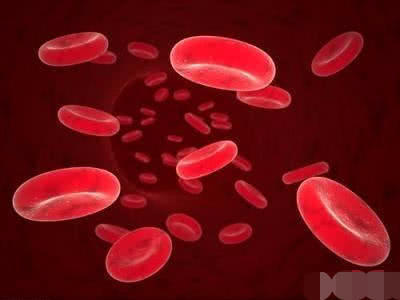 什么是高蛋白质 t01545c9bbfc29af91f.jpg