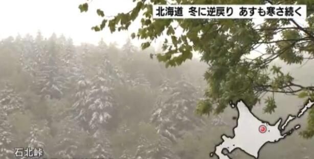 奇特！日本突现“六月飞雪”，气温降至冰点！地球怎么了？