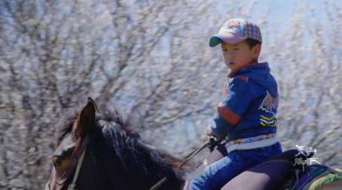 豆瓣8.8,拍起大好河山,央视永远是爸爸!