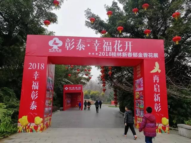 桂林这个地方郁金香已花开成海！美翻了！还免门票、赶紧约起来！