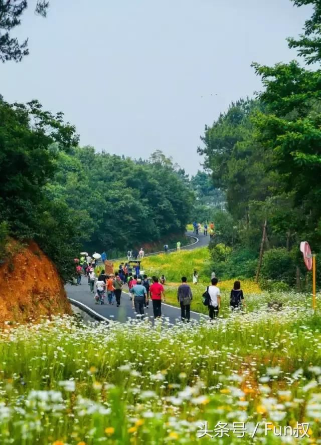 武汉江夏又要崛起？！你知道吗？