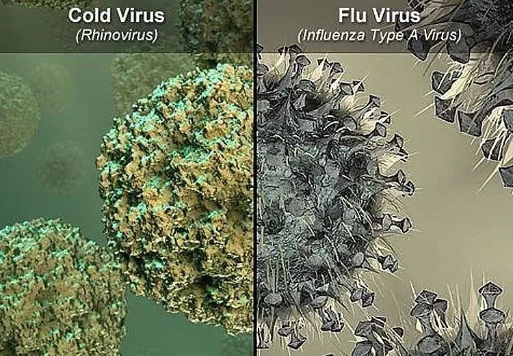 新一波流感或将在3月卷土重来！病毒正悄然转变！省疾控发布最新