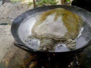 地主儿子大病只剩3月寿命,请来秃头老道,抓住