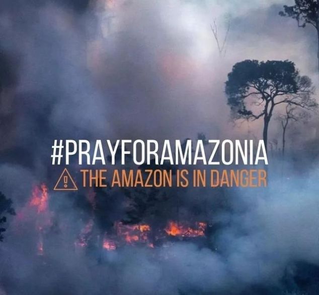 澳大利亚被烧了