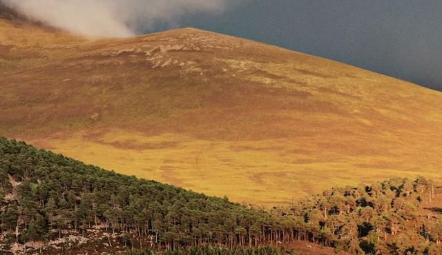 痛心!丹麦首富4个孩子3个丧生斯里兰卡恐袭.身