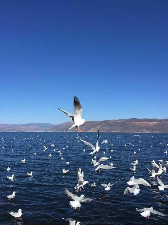 桂林又一条高铁要开通！直达这个浪漫城市，更想不到的是…