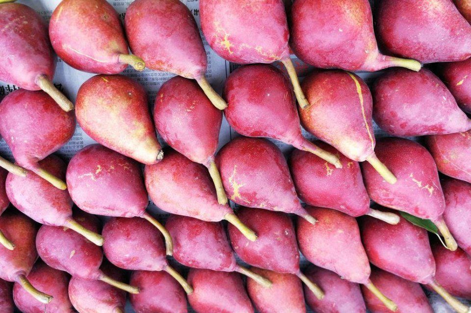 离核桃10元3斤 鲜枣一盒3斤100元 水果店水果