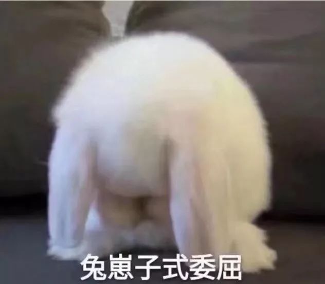 杜海涛自曝与沈梦辰的婚期,少年为蔡国庆重现