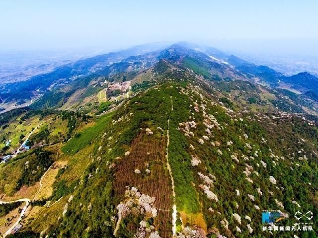 无人机之旅｜春到云龟山 樱花浪漫开