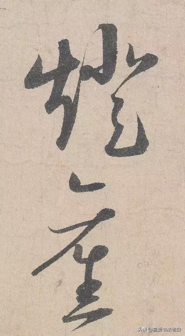 t0155ae4f78bcb3923f.jpg