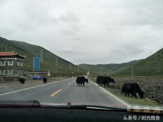 川藏线朝圣之旅第五天走进圣地理塘，寻找仓央嘉措