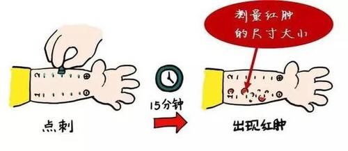 公司注册号是什么