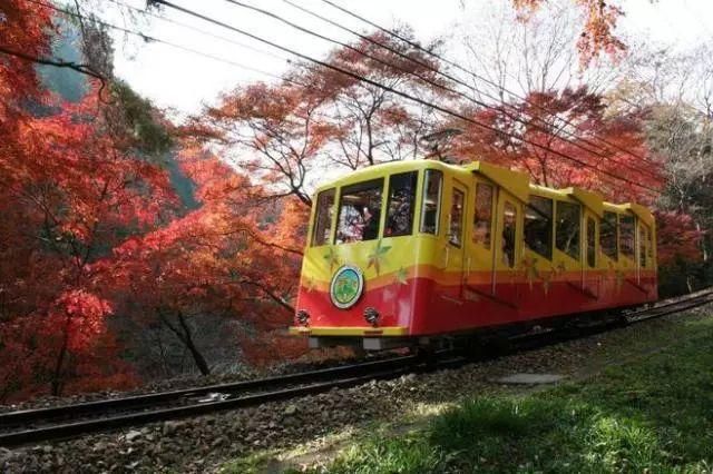 日本最全的交通指南，赴日旅行看这里