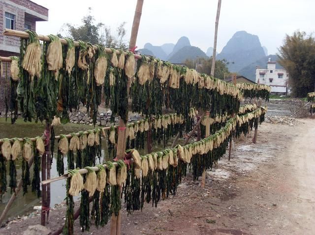 广西贺州人口最多的县,拥有1个高铁站,特产英