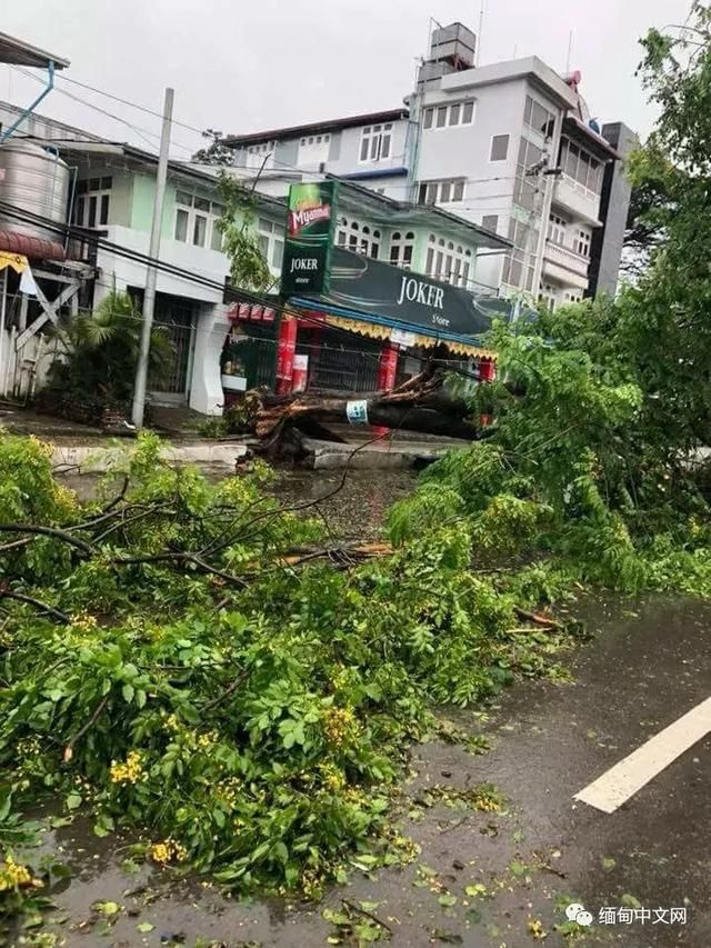 大风大雨太猛烈了！雨后的缅甸很受伤！