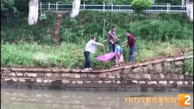 瑟瑟发抖!云南全省大降雨!