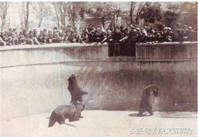 二十世纪60-70年代的安徽合肥