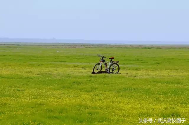 武汉30个春游免费景点大集合!踏青、骑行、拍照来这里就对了!