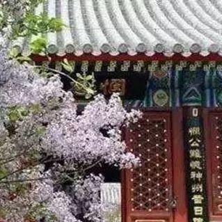 三月花开，四月花繁~京郊春花正当时｜确认过眼神，是去京郊赏花