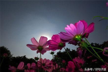 关于青春的文艺短句,句句唯美,让人读醉心扉!