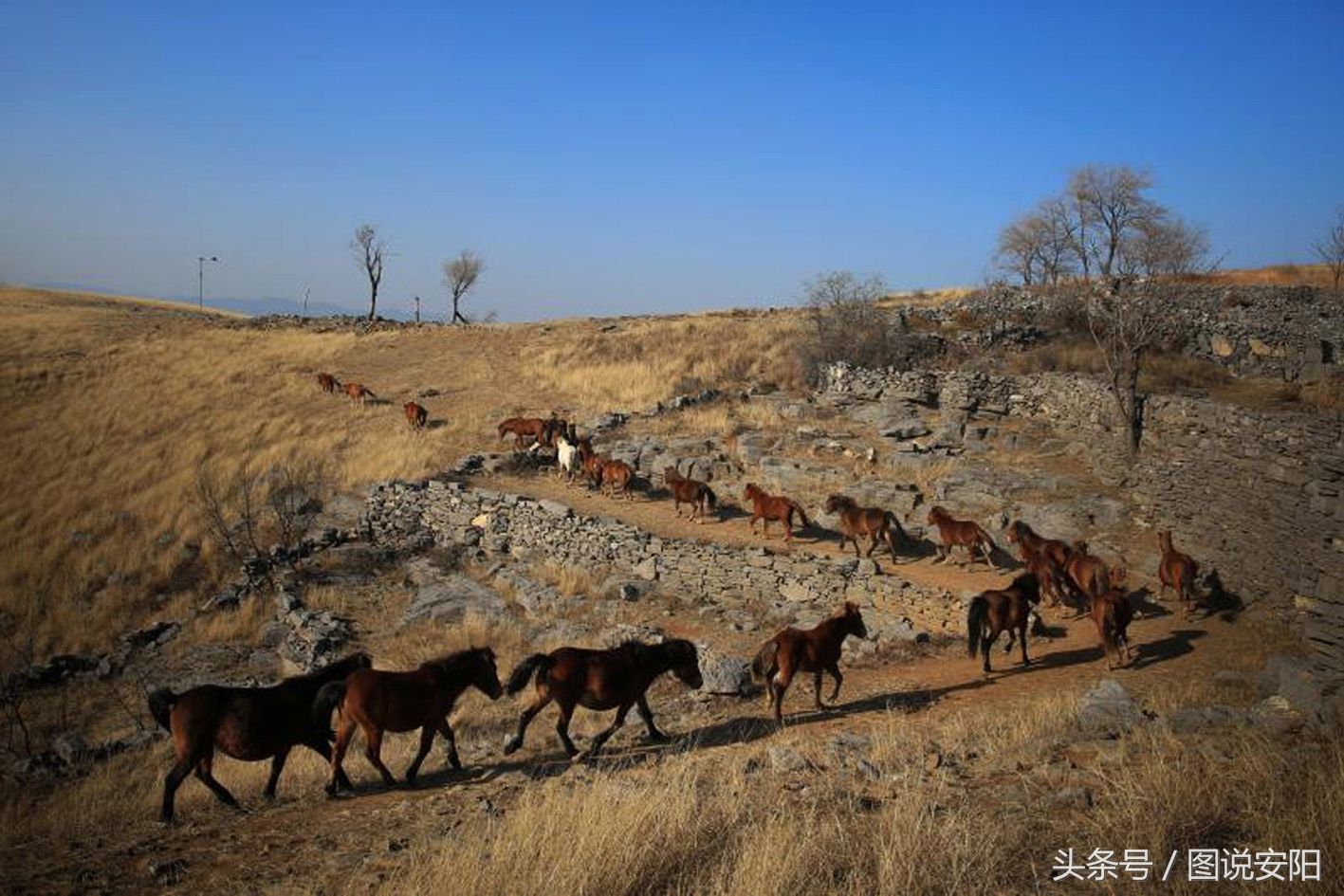河南淇县:旅游帮扶贫困户 书记成了“店小二”