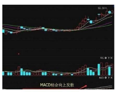 关于MACD，这是我见过讲得最详细的文章!