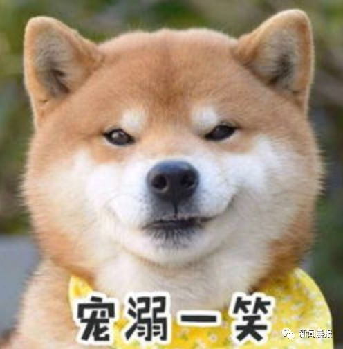 微信吃瓜小表情怎么下载