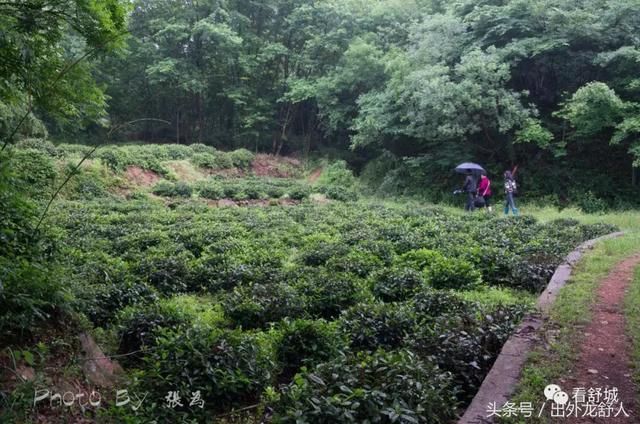 安徽舒城：影像志｜夏日的雨天 游“世外桃源，三国故地”天子寨