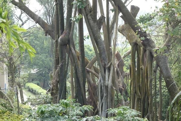 香港人口最稠密的岛屿长洲