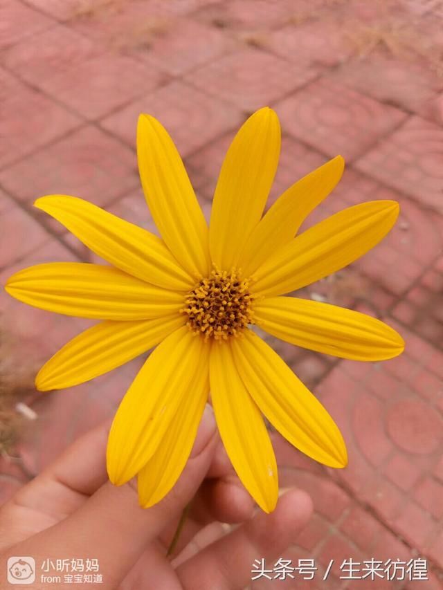 婆婆送给我的暖心礼物