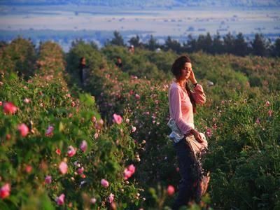 也许你现在该来这里：上帝私藏的后花园