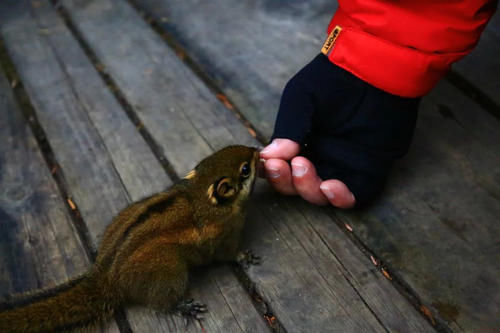 这个秋天我们相约耍川西