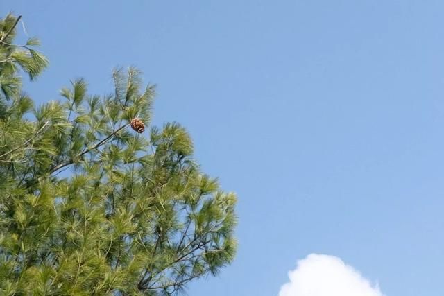 这座民宿位于玉龙雪山脚下第一村旁，是99％的游客都不知道的秘境