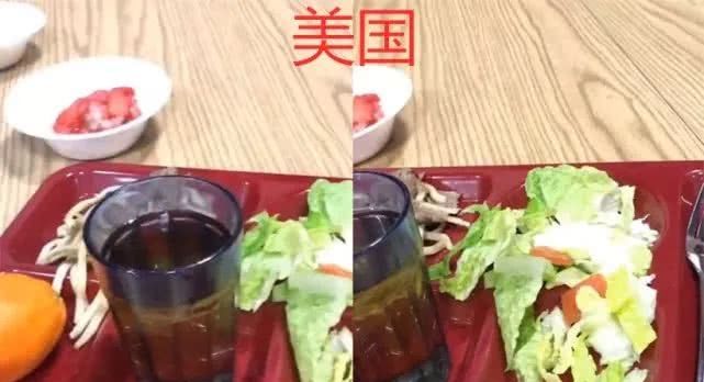 同样是食堂饭,美国VS德国VS日本,看到中国:阿姨,错怪你了 兴发娱乐网