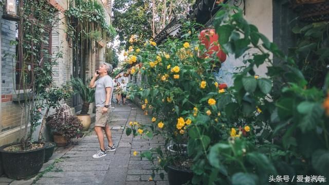 再别湖州,与江南水乡的自驾邂逅之旅