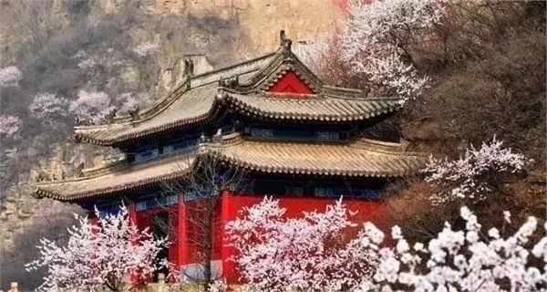 不负春光 | 河北竟私藏着这么多桃花林，就等花开了