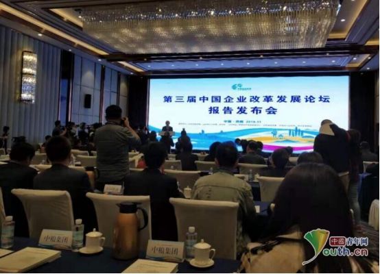 2020中国企业改革