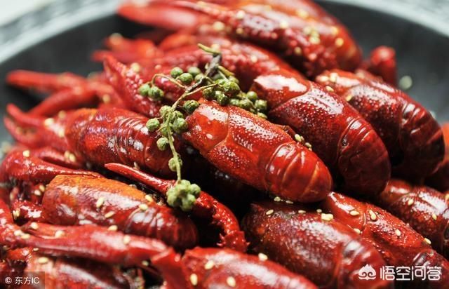 龙虾吃田螺吗 t01595c6d3c8451fc3e.jpg