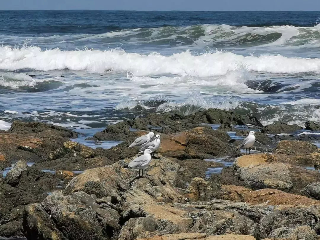 华为 P30 系列发布:最强拍照手机,夜间样张吊打