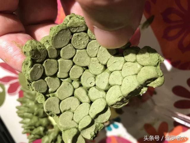 在泰国碰见一款榴莲造型的小蛋糕,看着像榴莲
