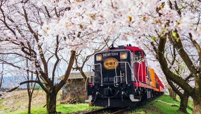 游京都、奈良轻松搞定交通问题!含岚山小火车