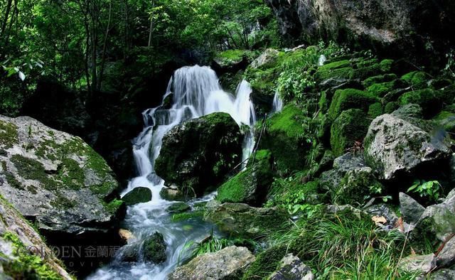 安徽洞穴探险队--探秘六百丈洞穴,发现神秘生物巢穴