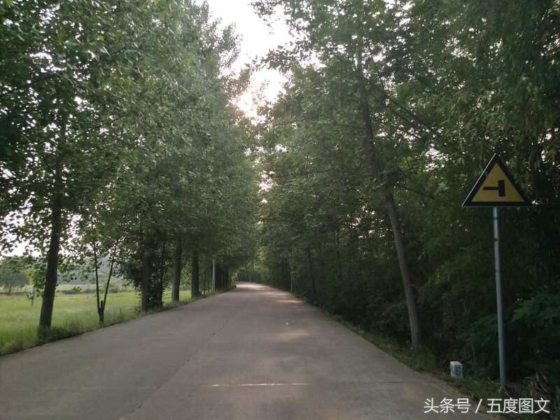 鄂东北农村的颠倒，城里人回乡建别墅住田园，村里人比着买房进城