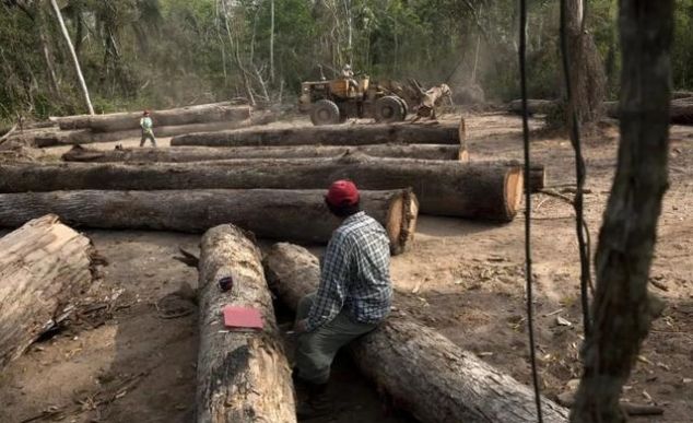 澳大利亚被烧了