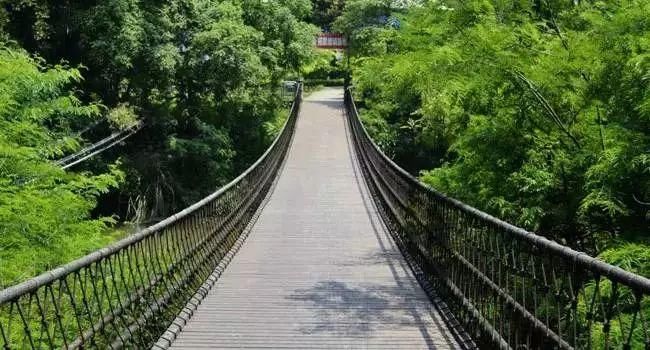 味集 | 广西最值得去的56个绝美之地!攻略都帮你做好了,走不走?