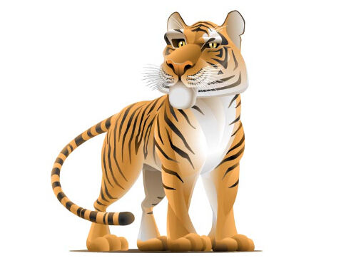 2019年属虎的今年多大 2019属虎几岁了