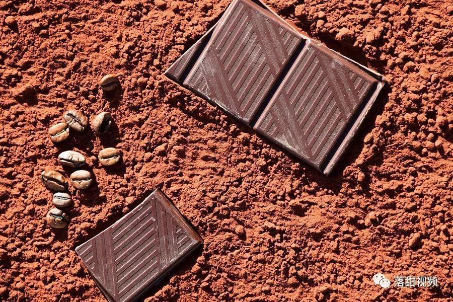 黑巧、牛巧、白巧、可可粉、生巧等常见巧克力