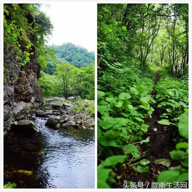 这个夏天，来甘肃徽县龙潭坝寻觅一片诗意山水