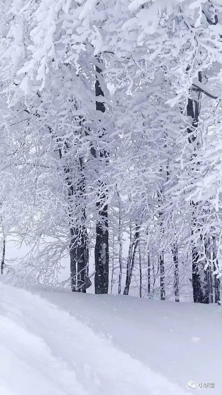 带着雪板去旅行，带着画本去滑雪